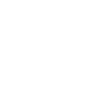 MS WEB DEVELOPER